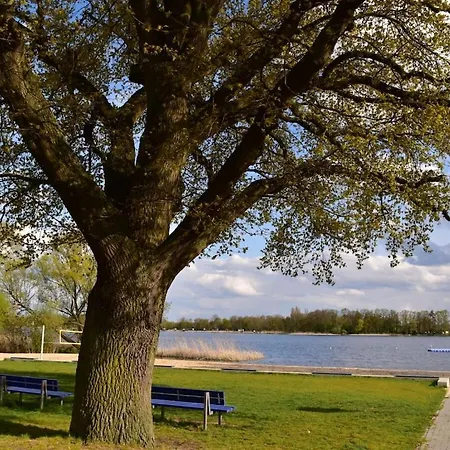 1-bedroom Holiday home Hohennauen